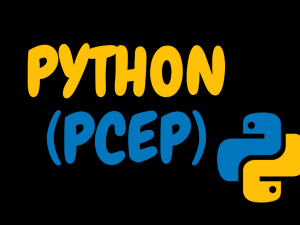 PYTHON (PCEP)